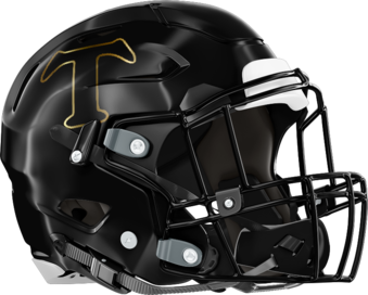 Temple Tigers Helmet