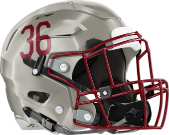 Whitewater Wildcats Helmet