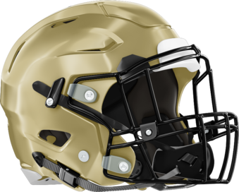 Forest Park Panthers Helmet