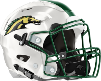 Ola Mustangs Helmet