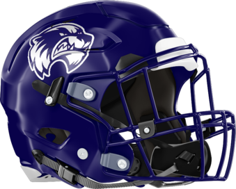 Woodstock Wolverines Helmet