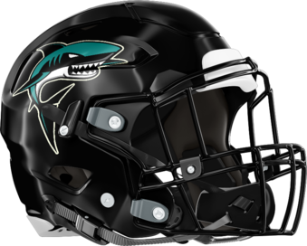 Island High Helmet Right
