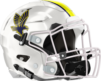Eagle's Landing Helmet