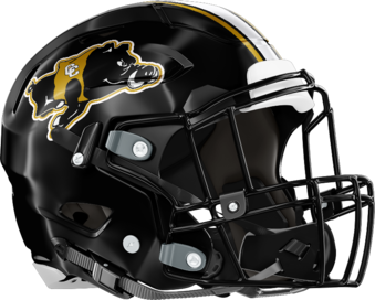 Colquitt County Helmet