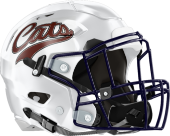 Cats Helmet