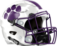 Darlington Tigers Helmet