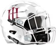 Holy Innocents' Golden Bears Helmet