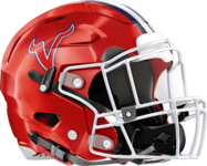 St. Anne-Pacelli Vikings Helmet