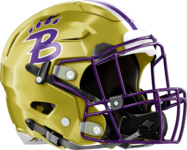 Bainbridge Bearcats Helmet Right