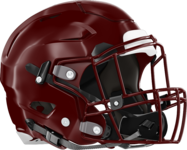 Dooly County Bobcats Helmet Right