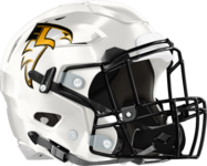 East Laurens Falcons Helmet Right