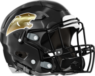 Liberty County Panthers Helmet Right