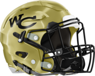 Washington County Golden Hawks Helmet Right