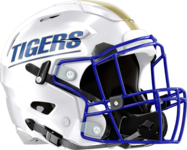 Bradwell Institute Tigers Helmet