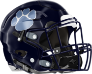 Camden County Wildcats Helmet