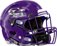Chapel Hill Panthers Helmet