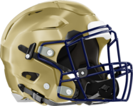 Dacula Falcons Helmet