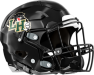 Hughes Panthers Helmet