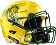 Lithia Springs Lions Helmet Right