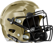 St. Pius X Golden Lions Helmet