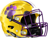 Villa Rica Wildcats Helmet