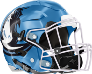 Meadowcreek Mustangs Helmet