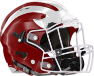 Hillgrove Hawks Helmet