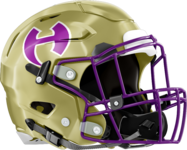 Hiram Hornets Helmet