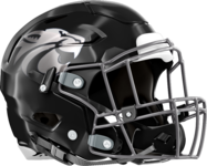 Locust Grove Wildcats Helmet