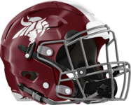 Northgate Vikings Helmet