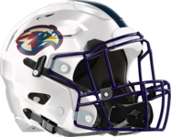 Pebblebrook Falcons Helmet