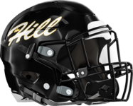 Richmond Hill Wildcats Helmet