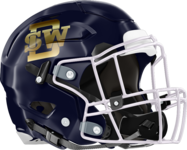 Southwest DeKalb Panthers Helmet