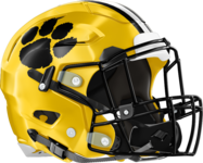 Valdosta Wildcats Helmet