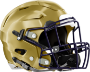 West Forsyth Wolverines Helmet