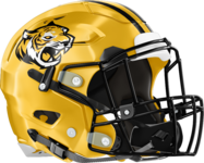 Alcovy Tigers Helmet