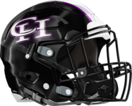Chapel Hill Panthers Helmet