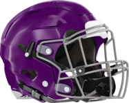 Miller Grove Wolverines Helmet