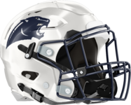 Portal Panthers Helmet