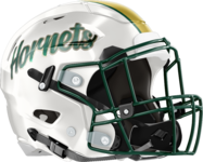 Savannah Country Day Hornets Helmet