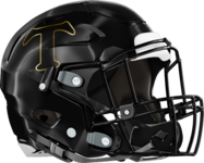 Temple Tigers Helmet