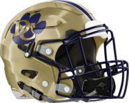 Douglas County Tigers Helmet