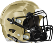 Forest Park Panthers Helmet