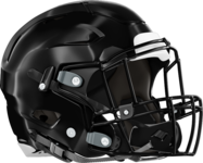 Therrell Panthers Helmet