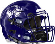 Woodstock Wolverines Helmet