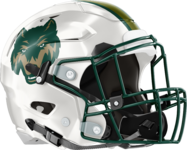 Wesleyan Wolves Helmet