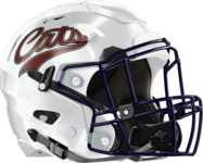 Cats Helmet
