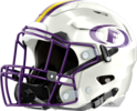 Fitzgerald High School Helmet Left