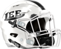 Lee County High Helmet Right