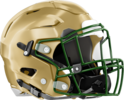 Buford Wolves Helmet Right